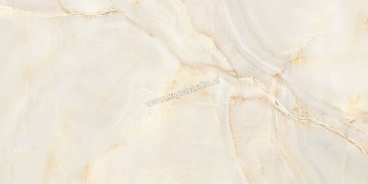  Villeroy & Boch Marble Selection Onyx galaxy 60x120 cm Vloertegel / Wandtegel Glanzend Vlak Vilbostoneplus 2960 M13P 0 | 406290