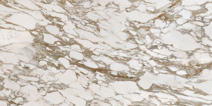  Villeroy & Boch Marble Selection Arabescato Joy 60x120 cm Vloertegel / Wandtegel Mat Vlak Vilbostoneplus 2960 M18M 0 | 406293