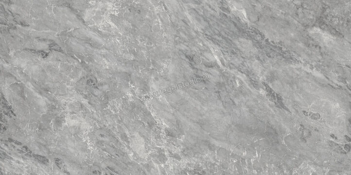  Villeroy & Boch Marble Selection Bardiglio 60x120 cm Vloertegel / Wandtegel Mat Vlak Vilbostoneplus 2960 M60M 0 | 406299