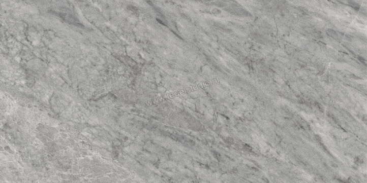  Villeroy & Boch Marble Selection Bardiglio 60x120 cm Vloertegel / Wandtegel Glanzend Vlak Vilbostoneplus 2960 M60P 0 | 406302