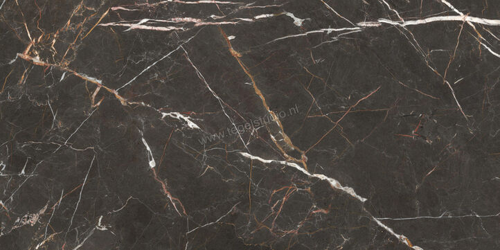  Villeroy & Boch Marble Selection Port St. Laurent 60x120 cm Vloertegel / Wandtegel Glanzend Vlak Vilbostoneplus 2960 M80P 0 | 406308