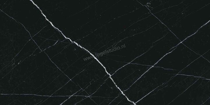  Villeroy & Boch Marble Selection Nero marquina 60x120 cm Vloertegel / Wandtegel Mat Vlak Vilbostoneplus 2960 M90M 0 | 406311