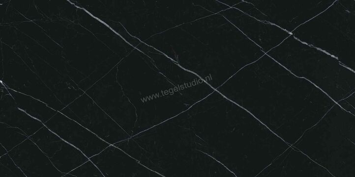  Villeroy & Boch Marble Selection Nero marquina 60x120 cm Vloertegel / Wandtegel Glanzend Vlak Vilbostoneplus 2960 M90P 0 | 406314