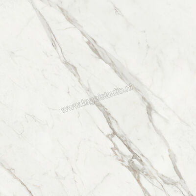  Villeroy & Boch Marble Selection Statuario 120x120 cm Vloertegel / Wandtegel Mat Vlak Vilbostoneplus 2961 M10M 0 | 406317