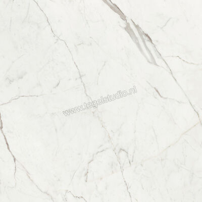  Villeroy & Boch Marble Selection Statuario 120x120 cm Vloertegel / Wandtegel Glanzend Vlak Vilbostoneplus 2961 M10P 0 | 406320