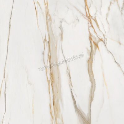  Villeroy & Boch Marble Selection Calacatta Gold 120x120 cm Vloertegel / Wandtegel Mat Vlak Vilbostoneplus 2961 M11M 0 | 406323