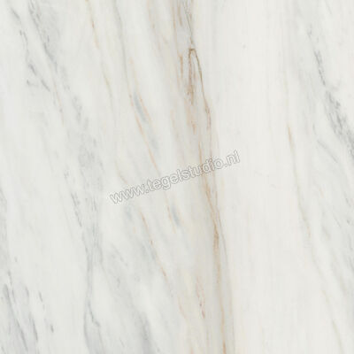  Villeroy & Boch Marble Selection Covelano Gold 120x120 cm Vloertegel / Wandtegel Glanzend Vlak Vilbostoneplus 2961 M12P 0 | 406332