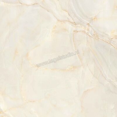  Villeroy & Boch Marble Selection Onyx galaxy 120x120 cm Vloertegel / Wandtegel Glanzend Vlak Vilbostoneplus 2961 M13P 0 | 406338