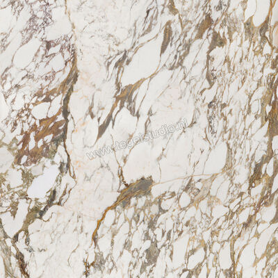  Villeroy & Boch Marble Selection Arabescato Joy 120x120 cm Vloertegel / Wandtegel Glanzend Vlak Vilbostoneplus 2961 M18P 0 | 406344