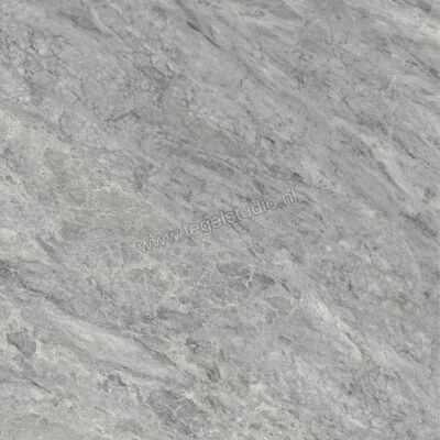  Villeroy & Boch Marble Selection Bardiglio 120x120 cm Vloertegel / Wandtegel Glanzend Vlak Vilbostoneplus 2961 M60P 0 | 406350