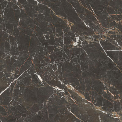  Villeroy & Boch Marble Selection Port St. Laurent 120x120 cm Vloertegel / Wandtegel Glanzend Vlak Vilbostoneplus 2961 M80P 0 | 406356