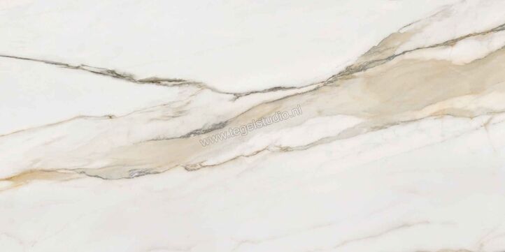  Villeroy & Boch Marble Selection Calacatta Gold 60x120 cm Vloertegel / Wandtegel Glanzend Vlak Vilbostoneplus 2960 M11P 0 | 406371