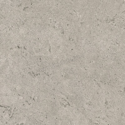  Villeroy & Boch Mellow Stone Grey 45x45 cm Vloertegel / Wandtegel Mat Vlak VilbostonePlus 2746 ES60 0 | 406398