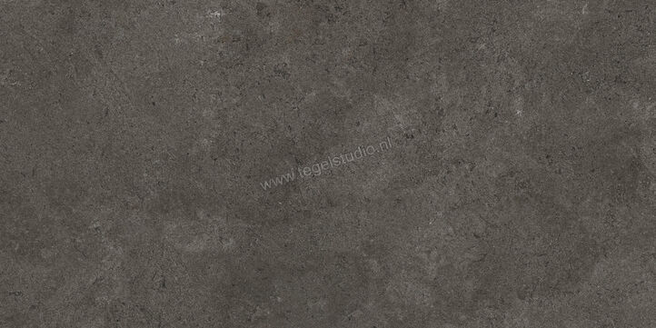  Villeroy & Boch Mellow Stone Antracite 60x120 cm Vloertegel / Wandtegel Mat Vlak VilbostonePlus 2776 ES90 0 | 406413