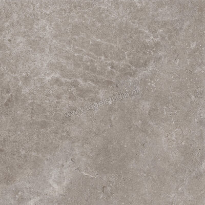  Villeroy & Boch Merida Pebble 60x60 cm Vloertegel / Wandtegel Mat Vlak VilbostonePlus 2679 AJ60 0 | 406485