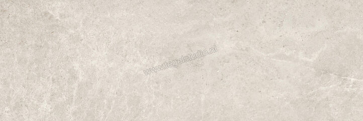  Villeroy & Boch Merida Light grey 40x120 cm Wandtegel Mat Vlak VilbostonePlus 1450 AJ60 0 | 406515