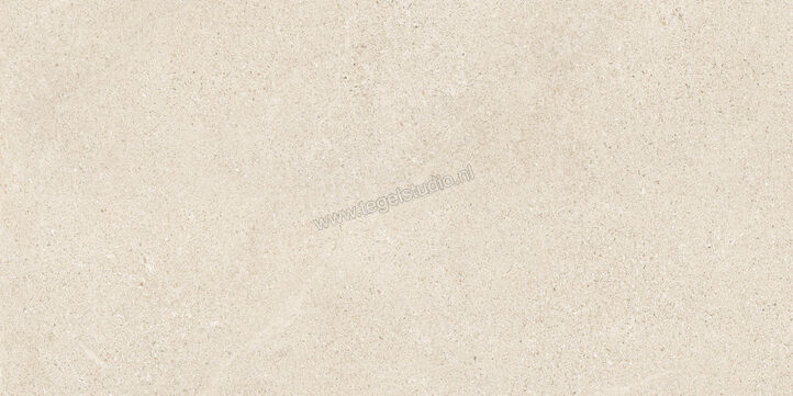 Del Conca Sensoria Naturale 60x120 cm Vloertegel / Wandtegel Mat Vlak Naturale GCSO01R | 406788