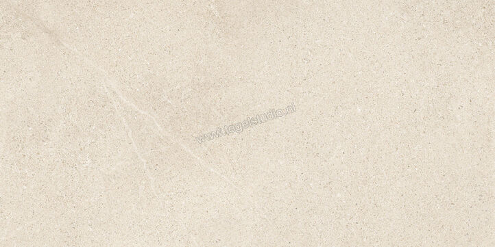  Del Conca Sensoria Naturale 60x120 cm Vloertegel / Wandtegel Mat Vlak Naturale GCSO01R | 406794
