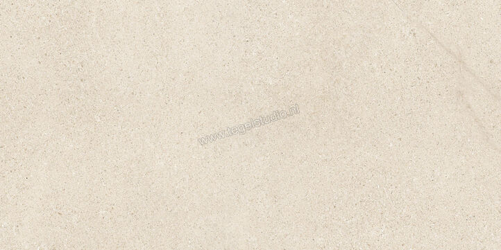  Del Conca Sensoria Naturale 60x120 cm Vloertegel / Wandtegel Mat Vlak Naturale GCSO01R | 406797