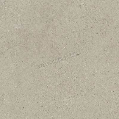  Del Conca Sensoria Vegetale 60x60 cm Vloertegel / Wandtegel Mat Vlak Naturale G9SO03R | 407049