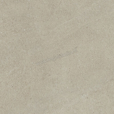  Del Conca Sensoria Vegetale 80x80 cm Vloertegel / Wandtegel Mat Vlak Naturale GTSO03R | 407103