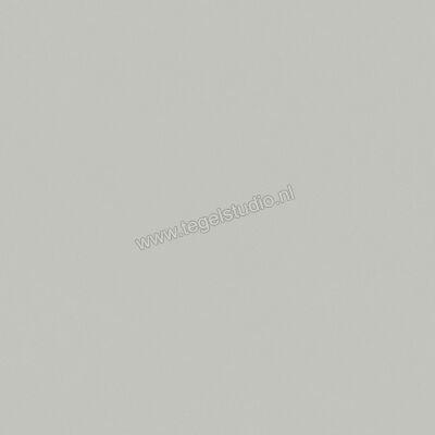  Del Conca Bioterre Amla 120x120 cm Vloertegel / Wandtegel Mat Vlak Naturale GRBE04R | 407364