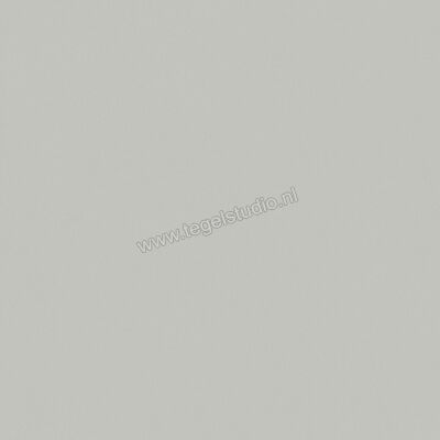  Del Conca Bioterre Amla 120x120 cm Vloertegel / Wandtegel Mat Vlak Naturale GRBE04R | 407370