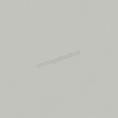  Del Conca Bioterre Amla 120x120 cm Vloertegel / Wandtegel Mat Vlak Naturale GRBE04R | 407376