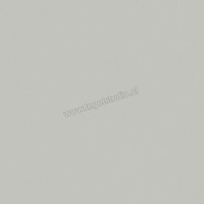 Del Conca Bioterre Amla 120x120 cm Vloertegel / Wandtegel Mat Vlak Naturale GRBE04R | 407379
