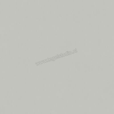  Del Conca Bioterre Amla 120x120 cm Vloertegel / Wandtegel Mat Vlak Naturale GRBE04R | 407382
