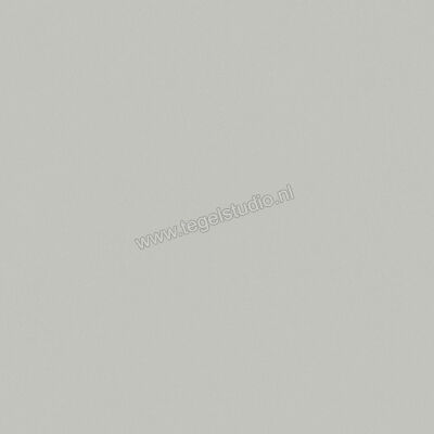  Del Conca Bioterre Amla 80x80 cm Vloertegel / Wandtegel Mat Vlak Naturale GTBE04R | 407385