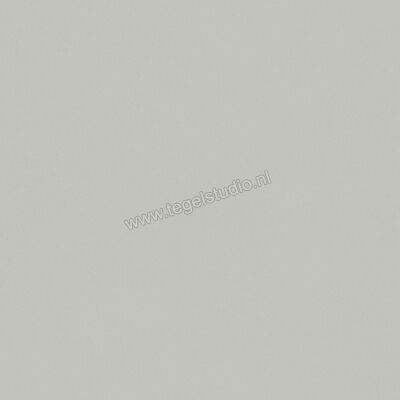 Del Conca Bioterre Amla 80x80 cm Vloertegel / Wandtegel Mat Vlak Naturale GTBE04R | 407391