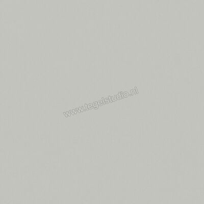  Del Conca Bioterre Amla 80x80 cm Vloertegel / Wandtegel Mat Vlak Naturale GTBE04R | 407400