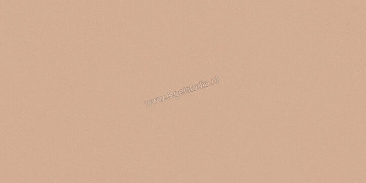  Del Conca Bioterre Terra 30x60 cm Vloertegel / Wandtegel Mat Vlak Naturale G8BE06R | 408162
