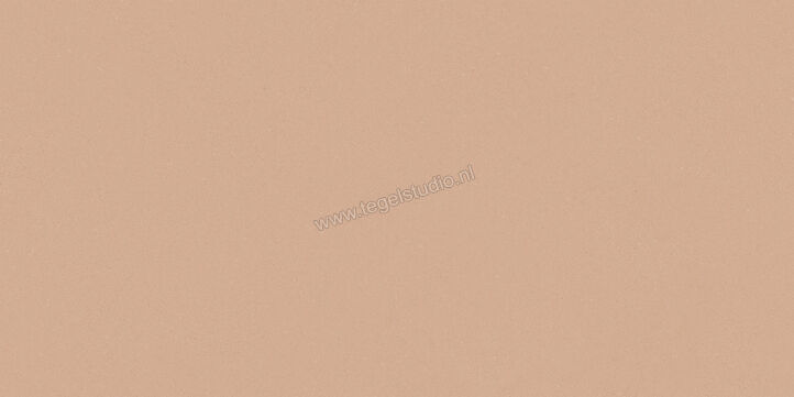 Del Conca Bioterre Terra 30x60 cm Vloertegel / Wandtegel Mat Vlak Naturale G8BE06R | 408171