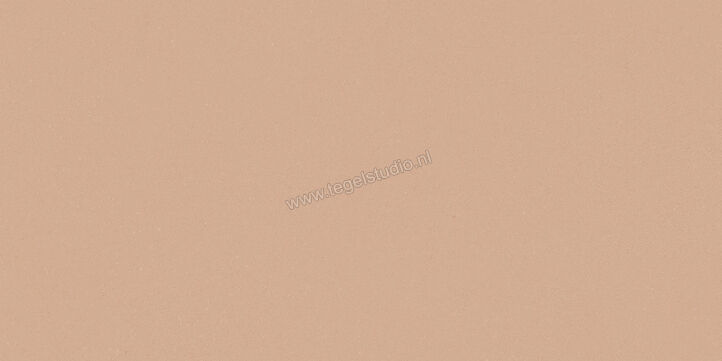  Del Conca Bioterre Terra 30x60 cm Vloertegel / Wandtegel Mat Vlak Naturale G8BE06R | 408183
