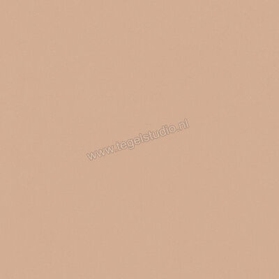  Del Conca Bioterre Terra 60x60 cm Vloertegel / Wandtegel Mat Vlak Naturale G9BE06R | 408186