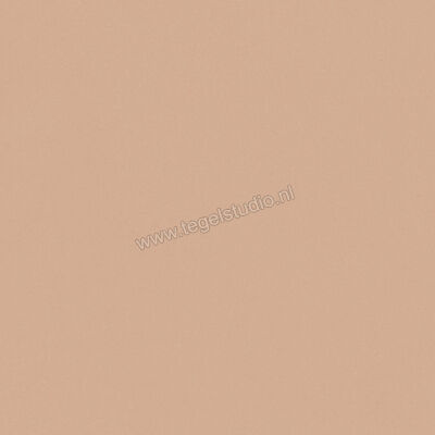  Del Conca Bioterre Terra 60x60 cm Vloertegel / Wandtegel Mat Vlak Naturale G9BE06R | 408195