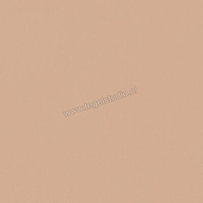  Del Conca Bioterre Terra 60x60 cm Vloertegel / Wandtegel Mat Vlak Naturale G9BE06R | 408198