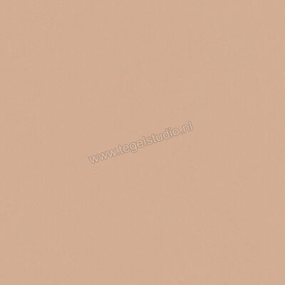  Del Conca Bioterre Terra 60x60 cm Vloertegel / Wandtegel Mat Vlak Naturale G9BE06R | 408204