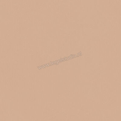  Del Conca Bioterre Terra 60x60 cm Vloertegel / Wandtegel Mat Vlak Naturale G9BE06R | 408207