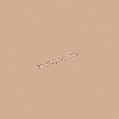  Del Conca Bioterre Terra 60x60 cm Vloertegel / Wandtegel Mat Vlak Naturale G9BE06R | 408210