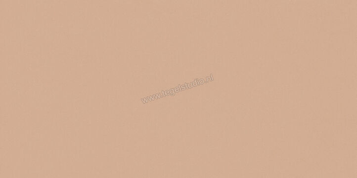  Del Conca Bioterre Terra 60x120 cm Vloertegel / Wandtegel Mat Vlak Naturale GCBE06R | 408216