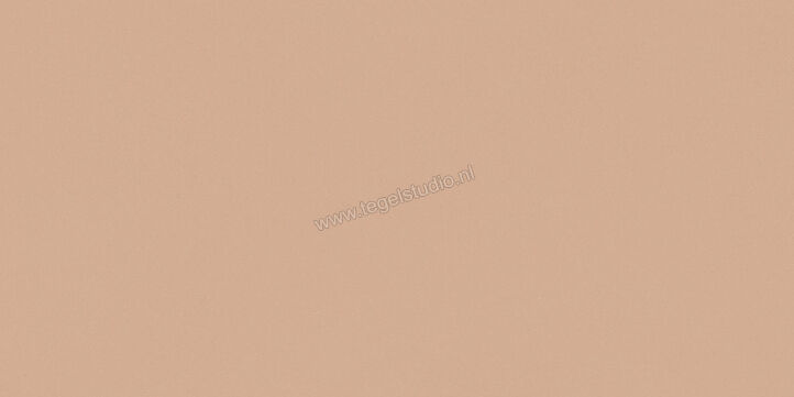  Del Conca Bioterre Terra 60x120 cm Vloertegel / Wandtegel Mat Vlak Naturale GCBE06R | 408219