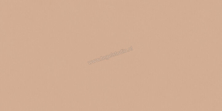  Del Conca Bioterre Terra 60x120 cm Vloertegel / Wandtegel Mat Vlak Naturale GCBE06R | 408222