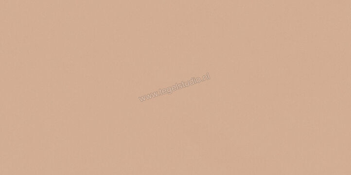  Del Conca Bioterre Terra 60x120 cm Vloertegel / Wandtegel Mat Vlak Naturale GCBE06R | 408225