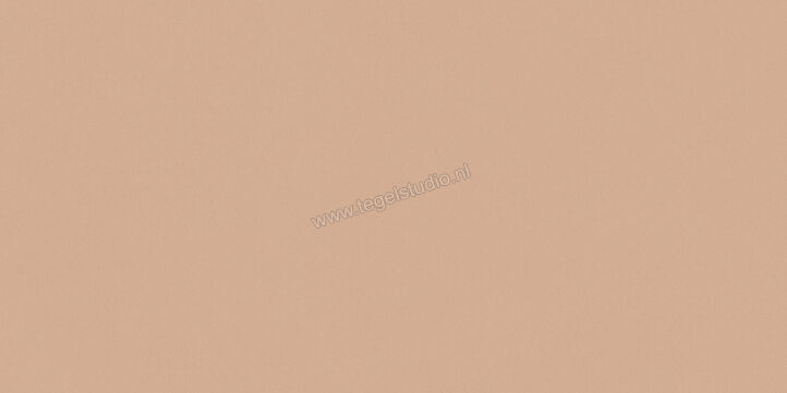  Del Conca Bioterre Terra 60x120 cm Vloertegel / Wandtegel Mat Vlak Naturale GCBE06R | 408228