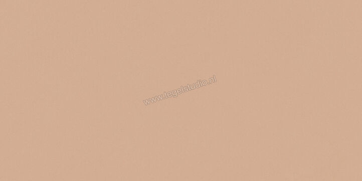  Del Conca Bioterre Terra 60x120 cm Vloertegel / Wandtegel Mat Vlak Naturale GCBE06R | 408231
