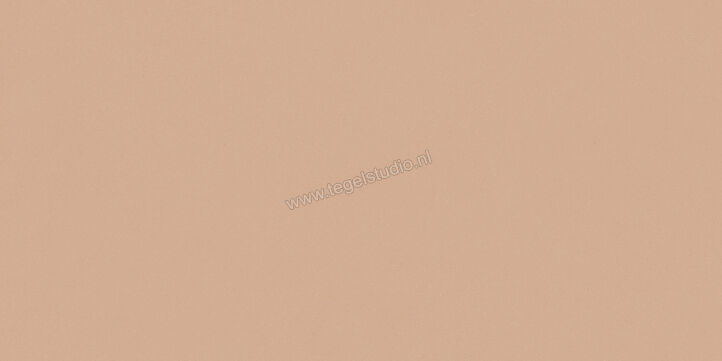 Del Conca Bioterre Terra 60x120 cm Vloertegel / Wandtegel Mat Vlak Naturale GCBE06R | 408234