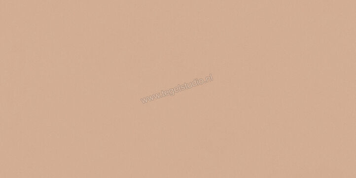  Del Conca Bioterre Terra 60x120 cm Vloertegel / Wandtegel Mat Vlak Naturale GCBE06R | 408237